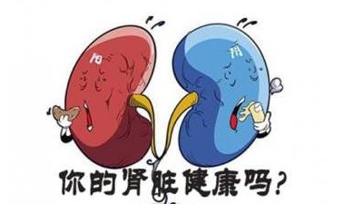 慢性腎臟病包括哪些疾??？